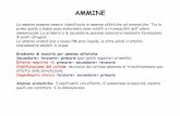 8 Ammine AA - farmacia.uniba.it · a 11.0 10.7 10.7 9.3 5.3 BASICITÀ DELLE AMMINE ... La piridina è spesso usata come scavenger di acidi minerali. ... AMMINOACIDI: REAZIONE CON