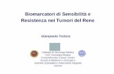 Biomarcatori di Sensibilità e Resistenza nei Tumori del Rene€¦ · Resistenza nei Tumori del Rene Cattedra di Oncologia Medica UOC Oncologia Medica ... Cromofobo oncocitoma Ipossia