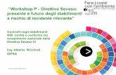 “Workshop P - Direttiva Seveso: presente e futuro degli ... · •criteri redazione e valutazione RdS •criteri e procedure ispezioni •effetto domino ed aree critiche •informazione