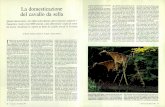 La domesticazione del cavallo da selladownload.kataweb.it/mediaweb/pdf/espresso/scienze/1992_282_4.pdf · a 6000 anni fa, in condizioni che fanno pensare a un rito ana-logo, mostrano