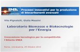 per l’Energia - ENEA — it · Laboratorio Biomasse e Biotecnologie per l’Energia Innovazione tecnologica per la competitività: ... M1 (10 g/l lattosio); HRT CH 4 = 7,5 giorni;