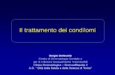 Sergio Delmonte - Seremi trattamento dei... · 4-10 partner ultimi 6 mesi 7,6% 2-3 partner ultimi 6 mesi 21,0% 0-1 partner ultimi 6 mesi 64,7% rapporti omosessuali (uomini) 9,5% ...