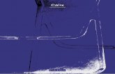 CALIX CATALOG - disegnocasa.infodisegnocasa.info/files/vanities/calix.pdf · Calix è un prodotto che unisce la cura per il ... composé d’éléments stéréométriques avec des