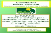 Presentazione di PowerPoint · 2002: indagine sulla produzione italiana, la coltivazione biologica, Schede colturali di presentazione dei lrodotti, La produzione del Piemonte