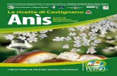  · Le ricette di Castignano A cura di ... I prodotti naturali e le erbe officinali - prodotti primari ... ed alla fine dell'800 ha