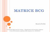 La matrice BCG è uno strumento ideato nel 1968 dalla ... · La matrice BCG è uno strumento ideato nel 1968 dalla Boston Consulting Group. INTERNA ESTERNA ATTRATTIVITA’ DEL SETTORE