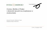 Como, Biella e Prato: i distretti tessili tra tradizione e ...images.co.camcom.gov.it/f/StudiEconomici/SA/SANPAOLO_2015.pdf · Como, Biella e Prato: i distretti tessili tra tradizione