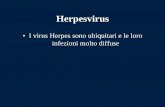 I virus Herpes sono ubiquitari e le loro infezioni molto ... · gengive, mucosa buccale, lingua ( dura 2-3 settimane). • Cheratocongiuntivite ( ulcere cornee) ... l’herpes zoster