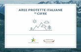 AREE PROTETTE ITALIANE IN CIFRE - Gruppo … · risorse naturali quanto soprattutto alcune ... “Rapporto sull’economia reale nei parchi nazionali e nelle aree naturali protette