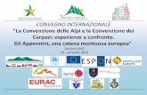 Alpine Spring Festival - alpconv.org · "La Convenzione delle Alpi e la Convenzione dei Carpazi: esperienze a confronto. Gli Appennini, una catena montuosa europea" ... la complessità
