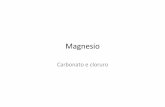 Magnesio) - omeoweb.comomeoweb.com/documenti/biblioteca/Magnesio_copia.pdf · Proprietà • Il magnesio è un elemento dotato di importanti funzioni biologiche, di cui sono particolarmente