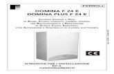 DOMINA F 24 E DOMINA PLUS F 24 E - Certificato … tecniche per... · DOMINA F 24 E / DOMINA PLUS F 24 E 2 Vi ringraziamo per la preferenza accordataci nell’acquistare una caldaia
