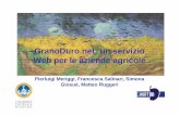 GranoDuro.net: un servizio Web per le aziende agricole · GranoDuro.net è un servizio web interattivo che fornisce supporti decisionali per la coltivazione di grano duro di qualità