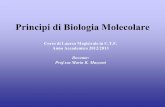 Modulo di Biologia Molecolare - Omeroomero.farm.unipi.it/matdidFarm/9/Principi-BiolMol-Capitolo 1.pdf · •La biologia molecolare è una scienza di base nata dalla convergenza di