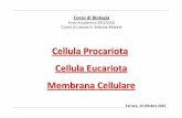 Cellula Procariota Cellula Eucariota Membrana Cellulare · Cellula Procariota Cellula Eucariota Membrana Cellulare Corso di Biologia Anno Accademico 2015/2016 Corso di Laurea in Scienze