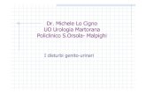 Dr. Michele Lo Cigno UO Urologia Martorana Policlinico · PDF fileEziologia disturbi minzionali in corso di malattia di Parkinson rilassamento indebolito o una bradicinesia dello sfintere