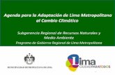 Agenda para la Adaptación de Lima Metropolitana al …lima-water.de/documents/azucchetti_1rt2011.pdf · 2011-11-02 · • Desquinchamientos de piedras • Arborización ... Adopta