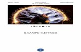 CAPITOLO II IL CAMPO ELETTRICO - … · in cui parleremo di campo magnetico nello spazio che circonda una sbarretta magnetizzata. La carica dà origine a un campo elettrico nello