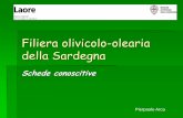 Filiera olivicolo-olearia della Sardegna · I mercati più dinamici Nei nuovi mercati il consumo cresce ad un tasso maggiore della media mondiale * Australia, Austria, Canada, Francia,