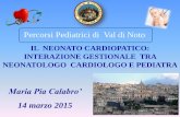 Maria Pia Calabro’ - Percorsi Pediatrici · maria pia calabro’ ... dell’apparato cardiovascolare nel neonato saturazione o2 ecg rx del torace ecocardiogramma non si puo’ prescindere