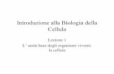 Introduzione alla Biologia della Cellula - Laura Damianilauradamiani.altervista.org/Biologia/Lezione_1_La_cellula__unit... · Introduzione alla Biologia della Cellula Lezione 1 L’