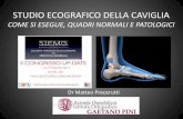 STUDIO ECOGRAFICO DELLA CAVIGLIA - siemg.org caviglia... · -In ecografia è fondamentale lo studio dinamico con dorsiflessione del piede, in pronazione forzata per i peronei e supinazione