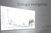 Fabio Vignes - Ecology Unit > Home energetics.pdf · Ecologia energetica La Teoria Metabolica Il bilancio energetico Metabolismo Metodi di studio Che os’è? Come si studia? Che