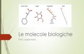 Le molecole biologiche - lumsa.ittoken_custom_uid]/Lezione... · In biochimica, quando questo legame avviene fra due zuccheri, viene chiamato appositamente, legame glicosidico Il