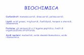 BIOCHIMICA - Corso di Laurea in Infermieristicainfermieristica.polodidatticopanico.com/wp-content/uploads/sites/2/... · CELLOBIOSIO E’ un disaccaride che si ottiene dall’idrolisi