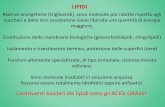 LIPIDI - 192.146.242.139192.146.242.139/biologia/sites/default/files/lezioni_2014-lipidi.pdf · Cerebrosidi monosaccaride (Glucosio o galattosio tramite legame glicosidico) Globosidi