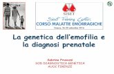 La genetica dell’emofilia e - Siset · La genetica dell’emofilia e la diagnosi prenatale Sabrina Frusconi SOD DIAGNOSTICA GENETICA AUOC FIRENZE