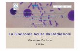 La Sindrome Acuta da Radiazioni - Radioprotezione.org - Eventi e congressi/2012... · Sindrome Acuta da Radiazioni Sindrome è il termine utilizzato comunemente in medicina per indicare
