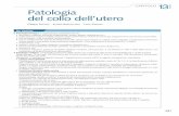 CAPITOLO 13 Patologia del collo dell’utero - doctor33.it · Anatomia patologica: forme microinvasive e forme francamente invasive. L’istotipo prevalente è il carcinoma squamoso,