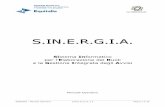 SINERGIA - Manuale Operativo · SINERGIA – Manuale Operativo S.IN.E.R.G.I.A. 2.5 Pagina 3 di 26 INDICE DELLE FIGURE Figura 1- SINERGIA : Form iniziale dopo installazione Procedura