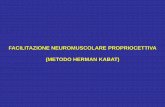 FACILITAZIONE NEUROMUSCOLARE PROPRIOCETTIVA (METODO …fisioterapia-pavia.myblog.it/media/01/02/1467726734.pdf · metodo kabat – principi neurofisiologici generali (2) Il movimento