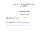 Laurea in Biologia Molecolare A.A. 2016/17 - … e fondamenti.pdf · ricevimento: previo appuntamento via email. 2 Orari LUN 11.30-13.15 MERC 11.30-12.15 ... Principi di termodinamica
