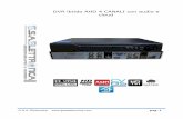 DVR ibrido AHD 4 CANALI con audio e cloud - … · • Supporto VGA e HDMI in simultanea ... • Con il sistema audio per il circuito di protezione, ... 2 canali ,RCA • Audio Output: