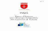 DC PAES ALL A 100214emendato - Comune di Triesteambiente.comune.trieste.it/wp-content/uploads/2012/10/PAES-Trieste.pdf · La produzione di energia termica da fonti rinnovabili, da