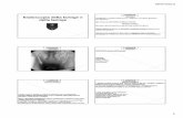 endoscopia faringe e laringe [modalità compatibilità]docenti.unicam.it/tmp/3271.pdf · anatomia laringe anatomia costituita da 5 cartilagini tiroide cricoide epiglottide aritenoidi