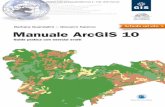 Manuale ArcGIS 10 - Dario Flaccovio Editore · ArcGIS Online ..... » 65 3.5. Il programma Comunity Maps di ESRI ... Topologia 2.1. Il concetto di topologia ...