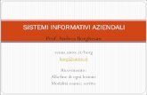 SISTEMI INFORMATIVI AZIENDALI - venus.unive.itvenus.unive.it/borg/SistInf-0.pdf · Sistema informativo. Prima definizione Un sistema informativo è un insieme di elementi che raccolgono,