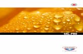 CAL-PRO - Zilmet heating cal-pro Applicazioni: vasi di espansione per riscaldamento centralizzato. Applications: expansion vessels for heating systems. Vantaggi Il vaso CAL-PRO assorbe