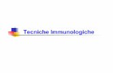 Tecniche Immunologiche - uniroma2.it · Affinita’ = Somma delle forze attrattive e repulsive Ab Ag Alta Affinita’ Ab Ag Bassa Affinita’ Affinità dell’anticorpo • La forza