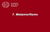 7. Metamorfismo - Dipartimento di Geoscienzegeo.geoscienze.unipd.it/sites/default/files/7 Metamorfismo.pdf · Metamorfismo: trasformazioni allo stato solido: ⇒mineralogiche ⇒strutturali