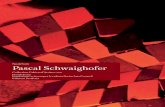 Pascal Schwaighofer - Cahiers d’Artistescahiers.ch/wordpress/wp-content/uploads/2015/04/2011_Pascal-Schwa… · Nella metafora dell’isola deserta deleuziana possiamo riconoscere