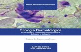 Citologia Dermatologica - Clinica Veterinaria San Silvestro di Citologia.pdf · Clinica Veterinaria San Silvestro. 18-19 FEBBRAIO 2016 ... Le cellule dell’infiammazione in dermatologia