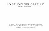 LO STUDIO DEL CAPELLO - Focus.it · relazione finale lo studio del capello progetto realizzato dai ragazzi della scuola g.o. bufalini di citta' di castello corso acconciatori q2