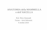 ANATOMIA della MAMMELLA e dell’ASCELLA - Casi Clinici · ANATOMIA della MAMMELLA e dell’ASCELLA Prof. Piero Sismondi Torino – Aula Infernotti 6 ottobre 2010