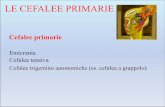 LE CEFALEE PRIMARIE - arnoneurologia.itarnoneurologia.it/wp-content/uploads/2014/03/Cefalee-primarie.pdf · A. Almeno 5 attacchi (2 se con aura) B. Durata di 4-72 ore ! C. Almeno