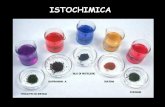 ISTOCHIMICA - uniroma2.it · colorazioni metacromatiche (es. rosso Congo, violetto di genziana, rosso Sirius) oppure mediante fluorescenza . ROSSO CONGO PER L’AMILOIDE. Picro-Sirius